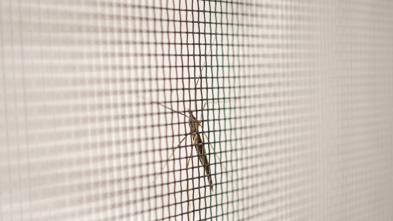 40 Mesh Imported Insect Net